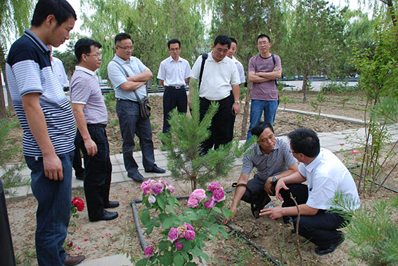 918博天堂(中国区)官方网站