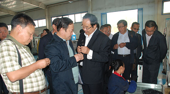 918博天堂(中国区)官方网站