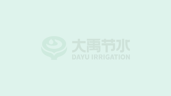 918ˮ޹˾2022˲ЧƷ̼㼣Ч